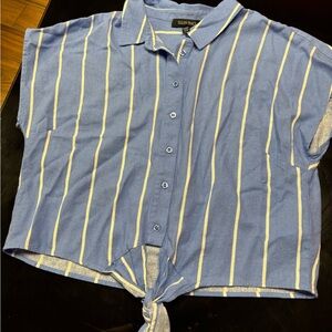 Ellen Tracy Blue and White Striped Shirt